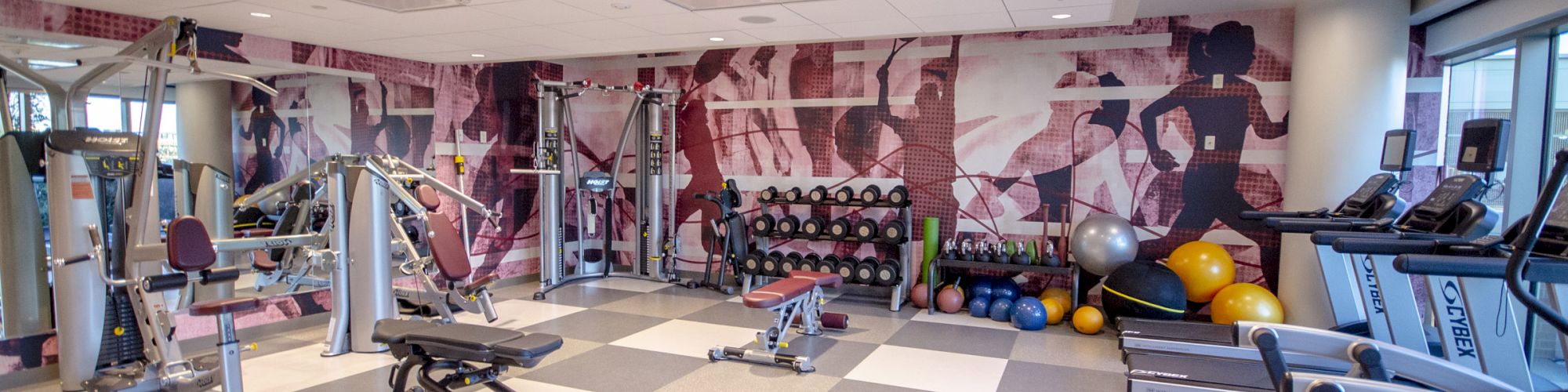 Image of hotel workout facility including treadmills, weights and exercise machines
