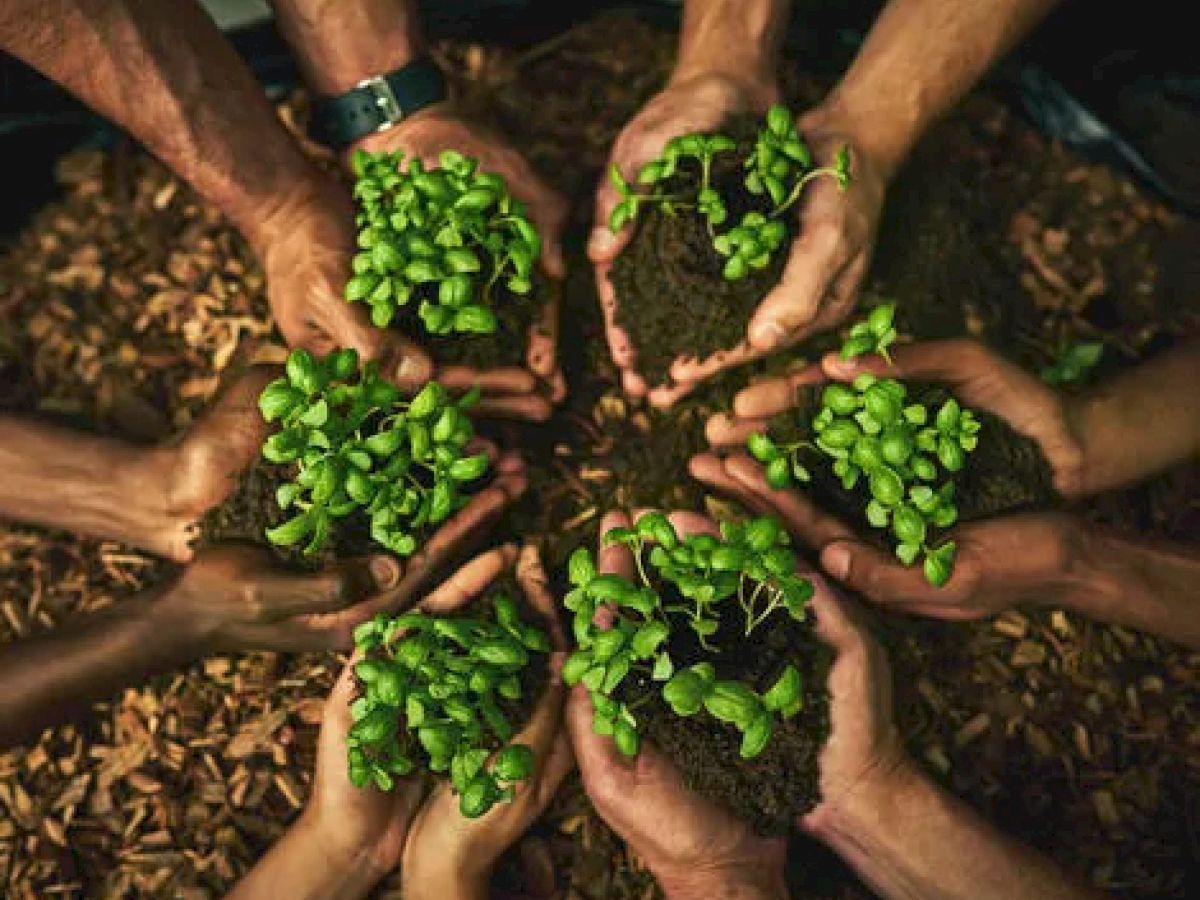 6 people with hands outreached, holding sprouts in dirt