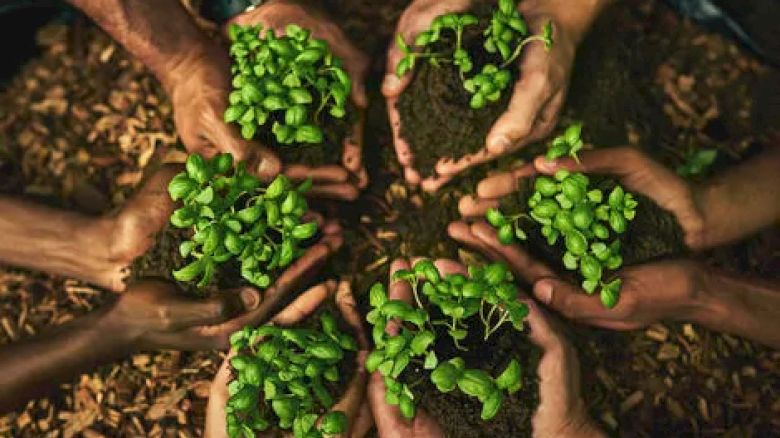 6 pairs of hands holding sprouts to be planted