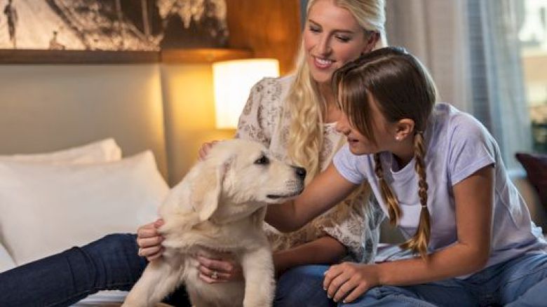 A woman and a girl are sitting on a bed petting a fluffy puppy, all looking happy in a cozy room.