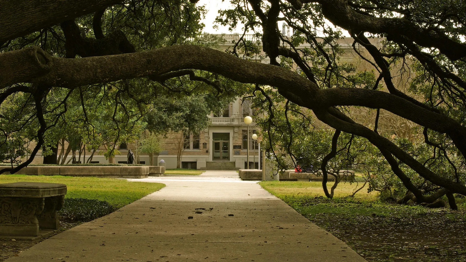 Seasonal Activities Winter Activities Fall Activities Near