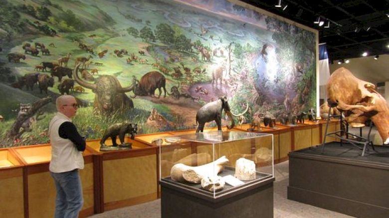 A person stands in a museum exhibit featuring prehistoric animals, fossils, and a mural depicting a prehistoric landscape.