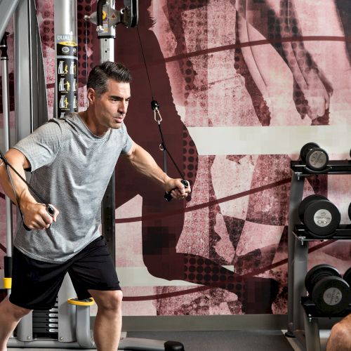A man in a gray shirt is using a cable machine in a gym. There are dumbbells in the background and abstract wall art visible.
