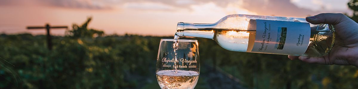 Pouring white wine into a glass at sunset over a vineyard, a hand steadies the glass as the bottle pours gracefully.