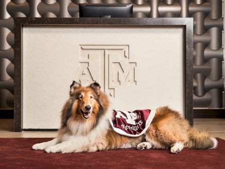 Texas A&M Hotel and Conference Center