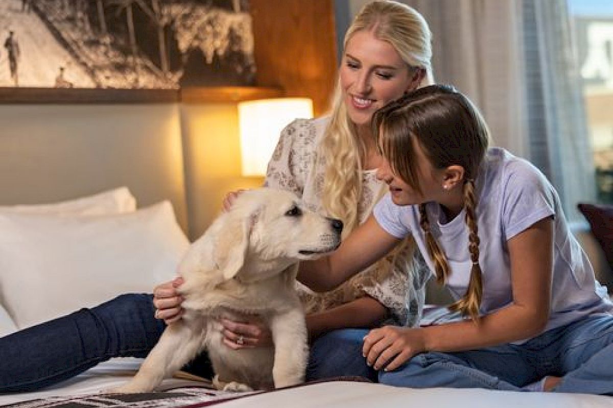 Two people on a bed with a fluffy puppy, smiling and playing with the dog in a cozy, well-lit room.